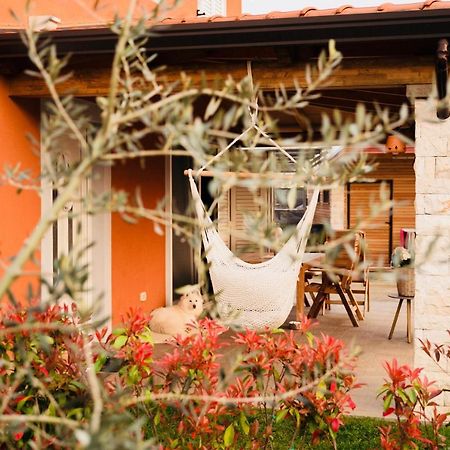 Vila Bianca Umag Exterior photo